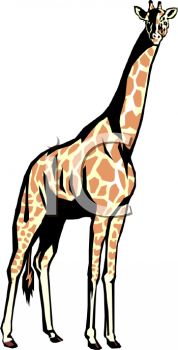 Animal Clipart