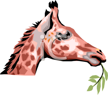 Animal Clipart