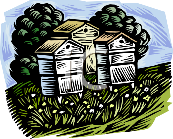 Insect Clipart