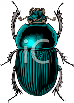Insect Clipart