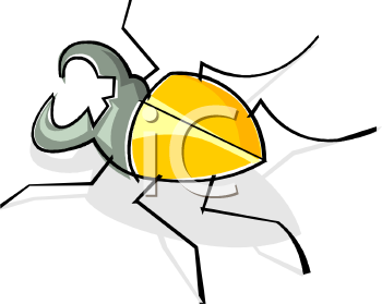 Insect Clipart