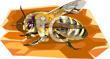 Insect Clipart