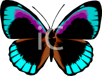 Nature and Scenic Clipart