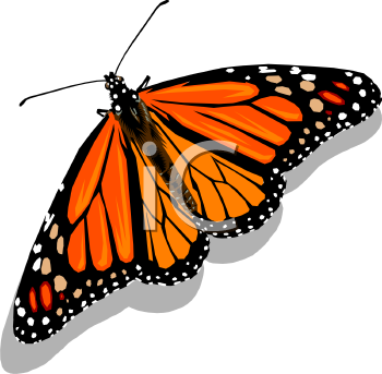 Insect Clipart