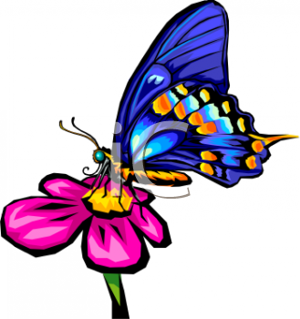 Insect Clipart