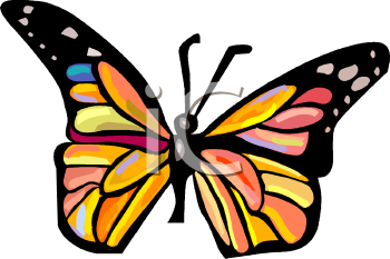 Insect Clipart