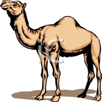 Nature and Scenic Clipart
