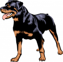 Pet Clipart