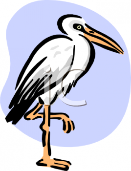 Cartoon Clipart
