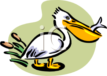 Cartoon Clipart