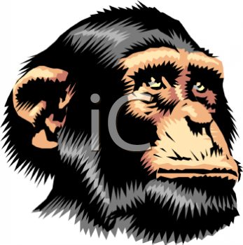 Primate Clipart