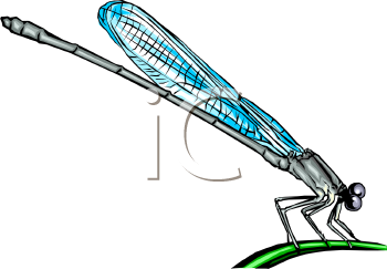 Nature and Scenic Clipart