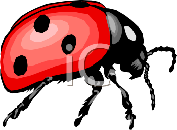 Beetle Clipart
