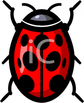 Beetle Clipart