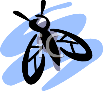 Insect Clipart