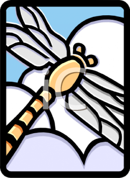 Insect Clipart