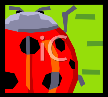 Beetle Clipart