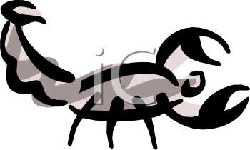 Insect Clipart