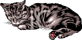 Pet Clipart