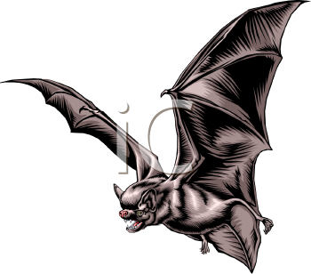 Halloween Clipart