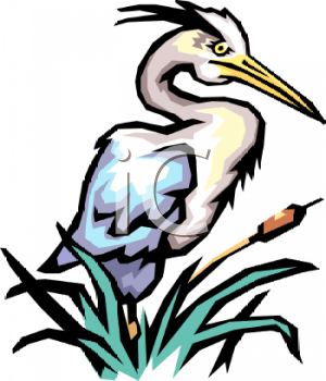Bird Clipart
