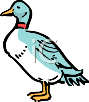 Bird Clipart