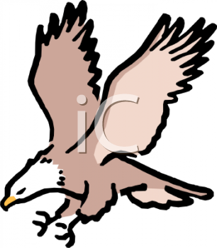 Bird Clipart