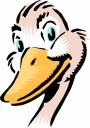 Bird Clipart