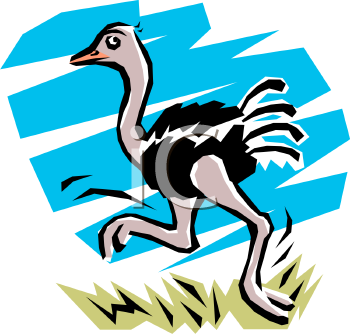 Cartoon Clipart