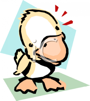 Bird Clipart