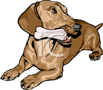 Nature and Scenic Clipart