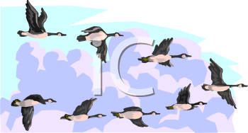 Cartoon Clipart