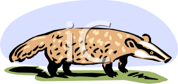 Cartoon Clipart
