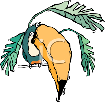 Nature and Scenic Clipart