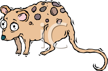 Primate Clipart