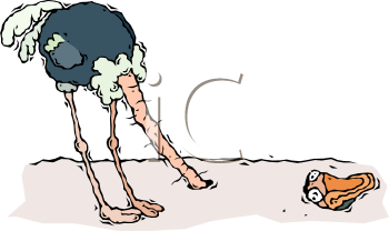 Nature and Scenic Clipart