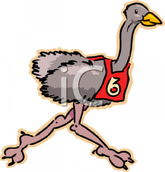 Bird Clipart