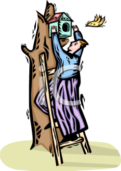 Nature and Scenic Clipart