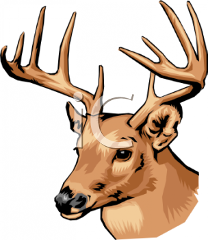 Nature and Scenic Clipart