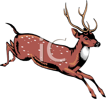 Deer Clipart