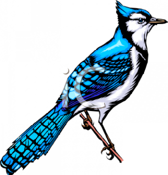 Nature and Scenic Clipart