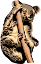 Marsupial Clipart