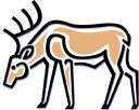 Deer Clipart