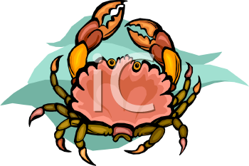 Fish and Sea Life Clipart
