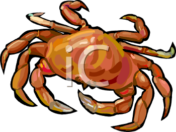 Fish and Sea Life Clipart