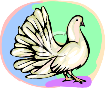 Bird Clipart