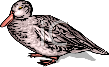 Nature and Scenic Clipart