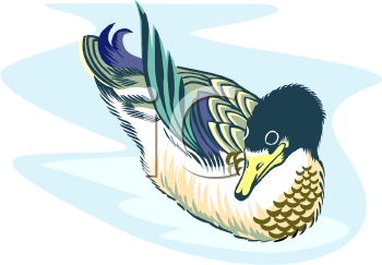 Bird Clipart