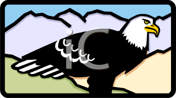 Bird Clipart