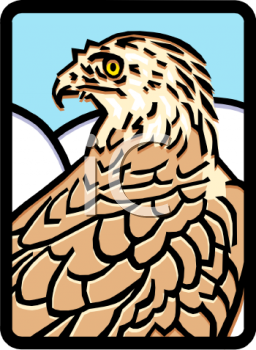 Bird Clipart